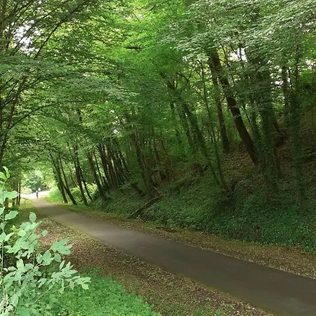 Chalet Du Bois De Bontemps *