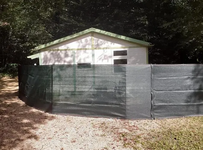 Du Bois De Bontemps *