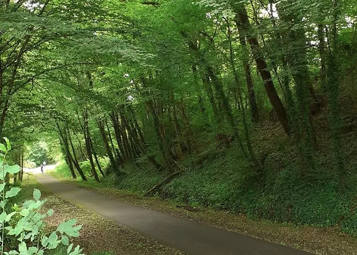 Alpehytte Du Bois De Bontemps *